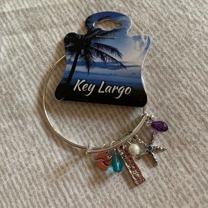 Silvertone Bracelet with 5 Charms, AVG size wrist